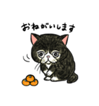 個性豊かなぶさ猫さん達（個別スタンプ：22）