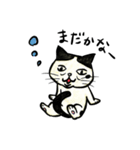 個性豊かなぶさ猫さん達（個別スタンプ：24）