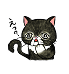 個性豊かなぶさ猫さん達（個別スタンプ：25）