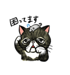 個性豊かなぶさ猫さん達（個別スタンプ：33）