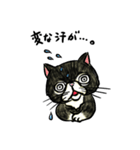 個性豊かなぶさ猫さん達（個別スタンプ：34）