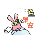 It's Rabbit Rabbit（個別スタンプ：34）