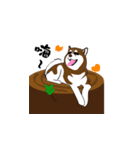 Funny Huskies（個別スタンプ：1）