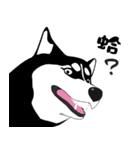 Funny Huskies（個別スタンプ：4）