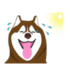 Funny Huskies（個別スタンプ：6）