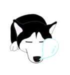 Funny Huskies（個別スタンプ：8）