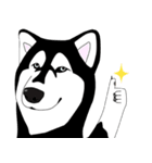 Funny Huskies（個別スタンプ：10）