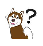 Funny Huskies（個別スタンプ：16）