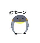 ペン太（個別スタンプ：27）