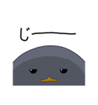 ペン太（個別スタンプ：33）