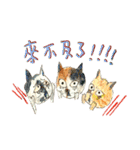 Do you like cats ？（個別スタンプ：40）