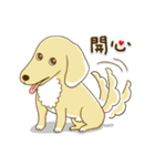 紅茶ガールとクリーム犬 (New)（個別スタンプ：5）