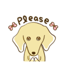 紅茶ガールとクリーム犬 (New)（個別スタンプ：14）