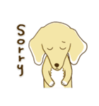 紅茶ガールとクリーム犬 (New)（個別スタンプ：29）