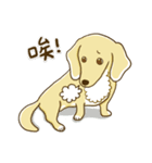 紅茶ガールとクリーム犬 (New)（個別スタンプ：30）