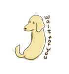 紅茶ガールとクリーム犬 (New)（個別スタンプ：31）