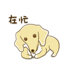 紅茶ガールとクリーム犬 (New)（個別スタンプ：38）