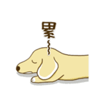 紅茶ガールとクリーム犬 (New)（個別スタンプ：39）