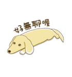紅茶ガールとクリーム犬 (New)（個別スタンプ：40）