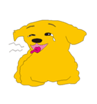 愛犬マロン（個別スタンプ：5）