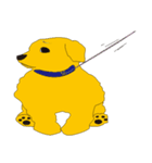 愛犬マロン（個別スタンプ：13）