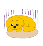 愛犬マロン（個別スタンプ：19）