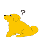 愛犬マロン（個別スタンプ：38）