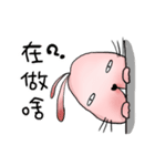 Buck_teeth_rabbit（個別スタンプ：2）