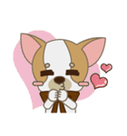 Chihuahua CMMIE - Fancy Style（個別スタンプ：2）