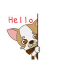 Chihuahua CMMIE - Fancy Style（個別スタンプ：3）