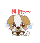 Chihuahua CMMIE - Fancy Style（個別スタンプ：8）