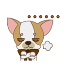 Chihuahua CMMIE - Fancy Style（個別スタンプ：11）