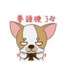 Chihuahua CMMIE - Fancy Style（個別スタンプ：14）