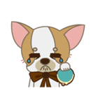 Chihuahua CMMIE - Fancy Style（個別スタンプ：32）