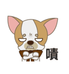 Chihuahua CMMIE - Fancy Style（個別スタンプ：40）