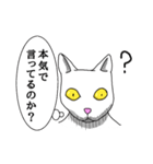 2足歩行の白い猫「神田」（個別スタンプ：11）