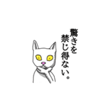 2足歩行の白い猫「神田」（個別スタンプ：17）