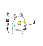 2足歩行の白い猫「神田」（個別スタンプ：23）