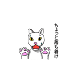 2足歩行の白い猫「神田」（個別スタンプ：28）