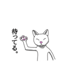 2足歩行の白い猫「神田」（個別スタンプ：30）