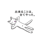 2足歩行の白い猫「神田」（個別スタンプ：40）