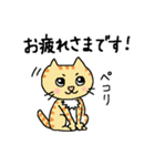 猫のヒナチロ1（個別スタンプ：9）