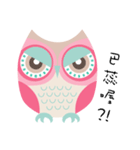 POPO OWL（個別スタンプ：1）