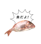 魚だよ！（個別スタンプ：1）