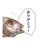 魚だよ！（個別スタンプ：7）