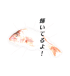 魚だよ！（個別スタンプ：8）