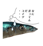 魚だよ！（個別スタンプ：9）