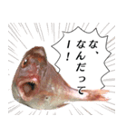 魚だよ！（個別スタンプ：14）