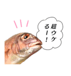 魚だよ！（個別スタンプ：15）