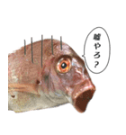 魚だよ！（個別スタンプ：18）